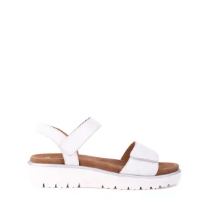 33518 White