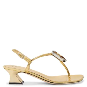 Giuseppe Zanotti Anthonia