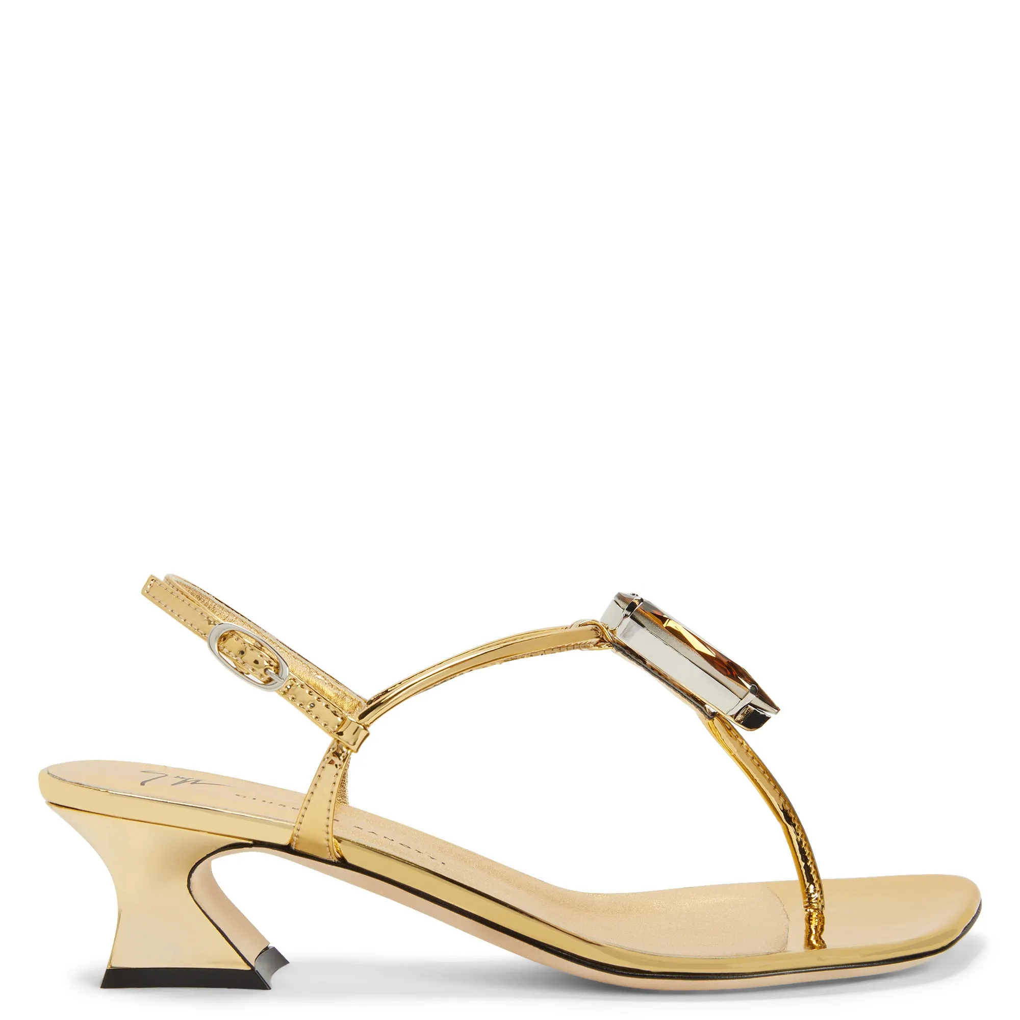 Giuseppe Zanotti Anthonia