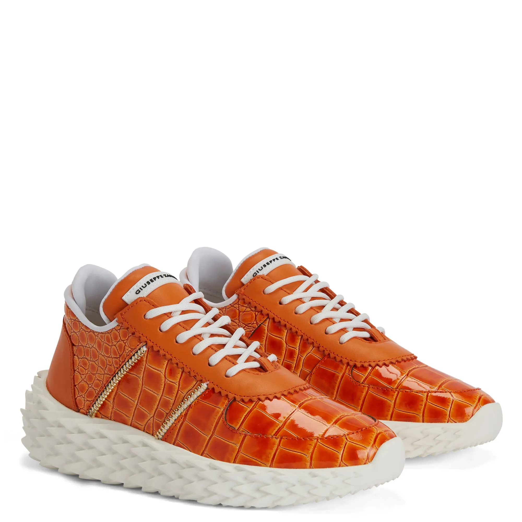Giuseppe Zanotti Urchin