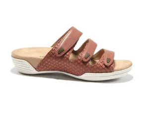 Women's Delight Sandal In Brown